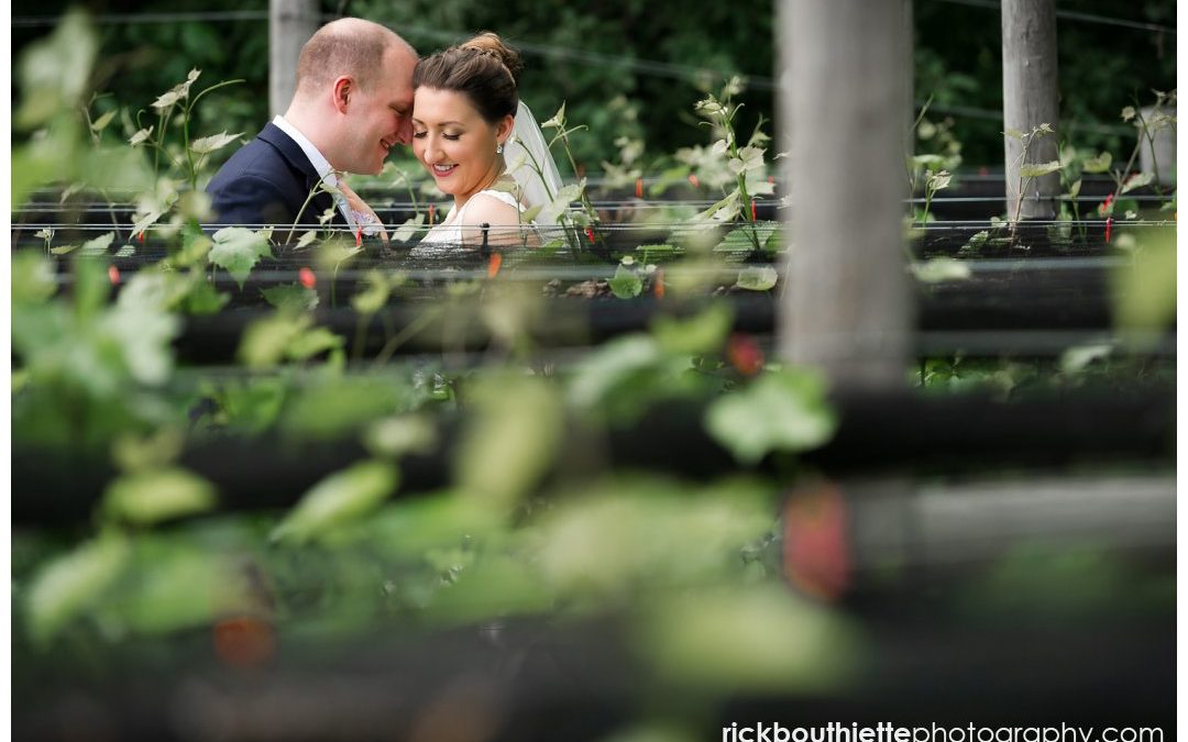 A Stunning LaBelle Winery Wedding :: Kerrin and Dan